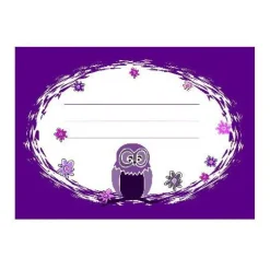 10 Aufkleber für die Schule Eule lila