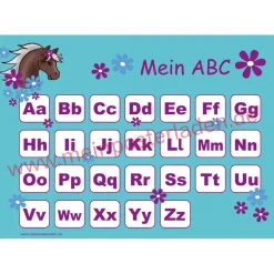 4 er Set  A4 Stundenplan + Lernposter + Heftaufkleber  | Pony Blumen - türkis lila