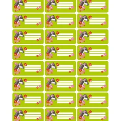 4 er Set  A4 Stundenplan + Lernposter + Heftaufkleber  | Pony Blumen - grün