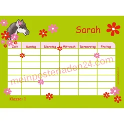 4 er Set  A4 Stundenplan + Lernposter + Heftaufkleber  | Pony Blumen - grün