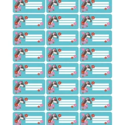 4 er Set  A4 Stundenplan + Lernposter + Heftaufkleber  | Pony Blumen - türkis rot