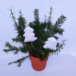 2 kleine gehäkelte Tannenbäumchen