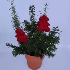 2 kleine gehäkelte Tannenbäumchen