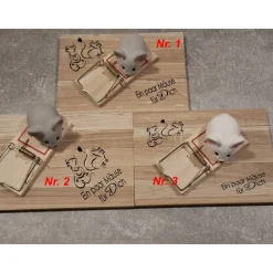 1 Mausefalle mit Maus perfekt für Geldgeschenke - originelle Verpackung für Geldgeschenke