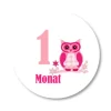 12 Meilensteinaufkleber Eule rosa Aufkleber zwölf Monate Baby Mädchen