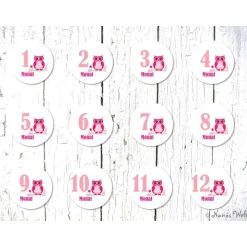 12 Meilensteinaufkleber Eule rosa Aufkleber zwölf Monate Baby Mädchen