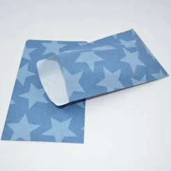 10 Papierbeutel Big Star