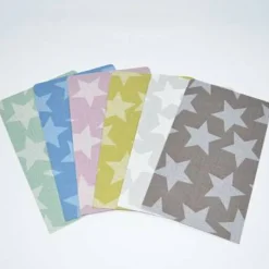 10 Papierbeutel Big Star