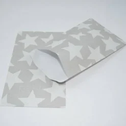 10 Papierbeutel Big Star