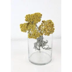 5 Stiele Trockenblumen Schafgarbe gelb