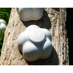 4 weiße TafelKreiden 