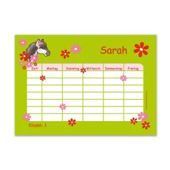 A4 Stundenplan | Pony Blumen - grün - personalisierbar, optional wiederbeschreibbar