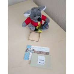 Achtung Mäuse Geldgeschenk – Originelle Mausefalle mit Plüschmaus & Spielkonsole als Geschenkidee