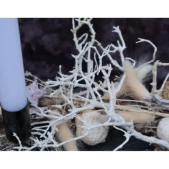 Adventskranz Holz mit Trockenblumen schwarz natur modern