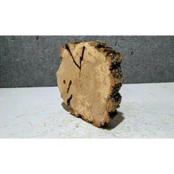 Baumscheibe, Holzscheibe, gestockt, Pappel,Holz, Bastelholz, Holzdeko, Dekoration,Holz