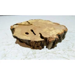 Baumscheibe, Holzscheibe, gestockt, Pappel,Holz, Bastelholz, Holzdeko, Dekoration,Holz