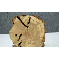 Baumscheibe, Holzscheibe, gestockt, Pappel,Holz, Bastelholz, Holzdeko, Dekoration,Holz