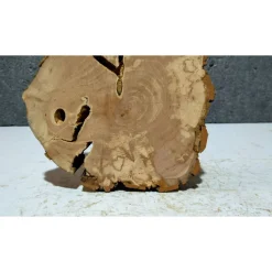 Baumscheibe, Holzscheibe, gestockt, Pappel,Holz, Bastelholz, Holzdeko, Dekoration,Holz