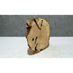 Baumscheibe, Holzscheibe, gestockt, Pappel,Holz, Bastelholz, Holzdeko, Dekoration,Holz
