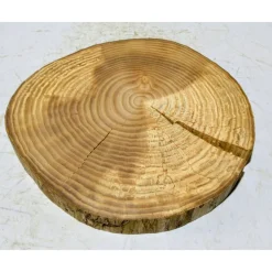 Baumscheibe, Holzscheibe, gestockt, Ulme, Bastelholz, Holz