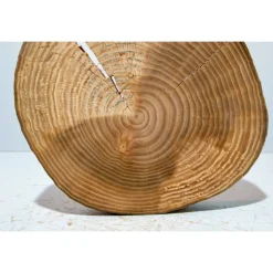 Baumscheibe, Holzscheibe, gestockt, Ulme, Bastelholz, Holz