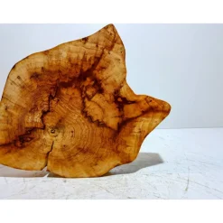 Baumscheibe, Holzscheibe, gestockt, Pappel,Holz, Bastelholz, Holzdeko, Dekoration,Holz