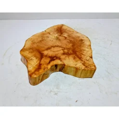 Baumscheibe, Holzscheibe, gestockt, Pappel,Holz, Bastelholz, Holzdeko, Dekoration,Holz