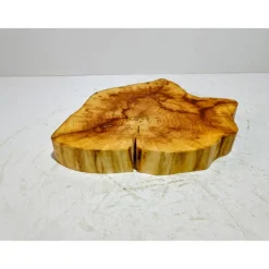 Baumscheibe, Holzscheibe, gestockt, Pappel,Holz, Bastelholz, Holzdeko, Dekoration,Holz