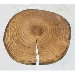 Baumscheibe, Holzscheibe, gestockt, Ulme, Bastelholz, Holz