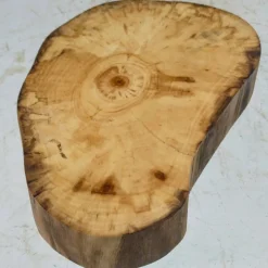 Baumscheibe, Holzscheibe, gestockt, Pappel,Holz, Bastelholz, Holzdeko, Dekoration,Holz