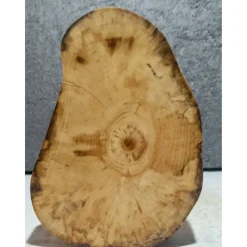 Baumscheibe, Holzscheibe, gestockt, Pappel,Holz, Bastelholz, Holzdeko, Dekoration,Holz