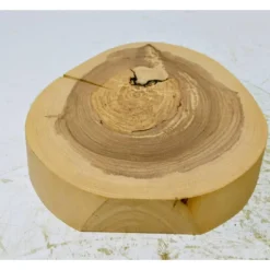 Baumscheibe, Holzscheibe, gestockt, Traubenkirsche,Holz, Bastelholz, Holzdeko, Dekoration,Holz