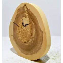 Baumscheibe, Holzscheibe, gestockt, Traubenkirsche,Holz, Bastelholz, Holzdeko, Dekoration,Holz