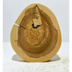 Baumscheibe, Holzscheibe, gestockt, Traubenkirsche,Holz, Bastelholz, Holzdeko, Dekoration,Holz