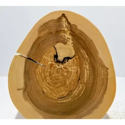 Baumscheibe, Holzscheibe, gestockt, Traubenkirsche,Holz, Bastelholz, Holzdeko, Dekoration,Holz