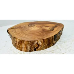 Baumscheibe, Holzscheibe, gestockt, Ulme, Bastelholz, Holz