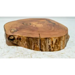 Baumscheibe, Holzscheibe, gestockt, Ulme, Bastelholz, Holz