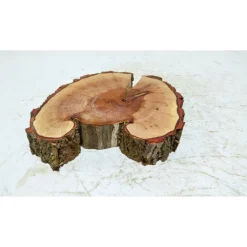 Baumscheibe, Holzscheibe, gestockt, Pappel,Holz, Bastelholz, Holzdeko, Dekoration,Holz