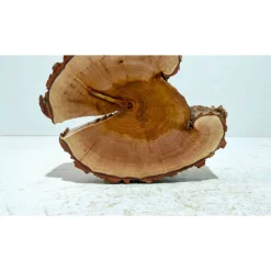 Baumscheibe, Holzscheibe, gestockt, Pappel,Holz, Bastelholz, Holzdeko, Dekoration,Holz