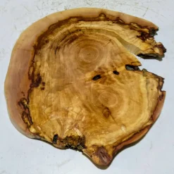 Baumscheibe, Holzscheibe, gestockt, Pappel,Holz, Bastelholz, Holzdeko, Dekoration,Holz