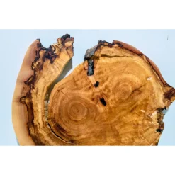 Baumscheibe, Holzscheibe, gestockt, Pappel,Holz, Bastelholz, Holzdeko, Dekoration,Holz