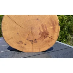 Baumscheibe, Holzscheibe, gestockt, Eiche,Holz, Bastelholz, Holzdeko, Dekoration,Holz