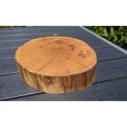 Baumscheibe, Holzscheibe, gestockt, Eiche,Holz, Bastelholz, Holzdeko, Dekoration,Holz