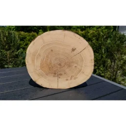 Baumscheibe, Holzscheibe, gestockt, Eiche,Holz, Bastelholz, Holzdeko, Dekoration,Holz