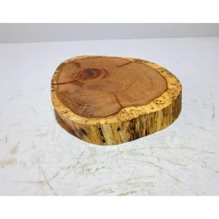 Baumscheibe, Holzscheibe, gestockt, Eiche,Holz, Bastelholz, Holzdeko, Dekoration,Holz