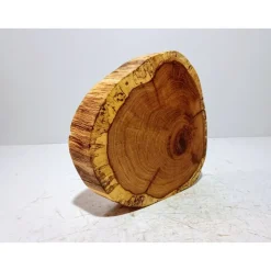 Baumscheibe, Holzscheibe, gestockt, Eiche,Holz, Bastelholz, Holzdeko, Dekoration,Holz