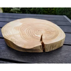 Baumscheibe, Holzscheibe, gestockt, Ulme, Bastelholz, Holz