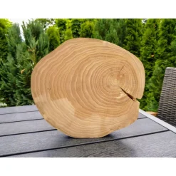 Baumscheibe, Holzscheibe, gestockt, Ulme, Bastelholz, Holz