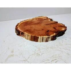 Baumscheibe, Holzscheibe, gestockt, Pappel,Holz, Bastelholz, Holzdeko, Dekoration,Holz