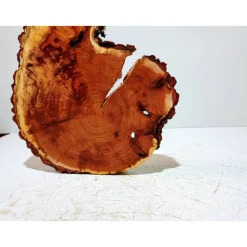 Baumscheibe, Holzscheibe, gestockt, Pappel,Holz, Bastelholz, Holzdeko, Dekoration,Holz